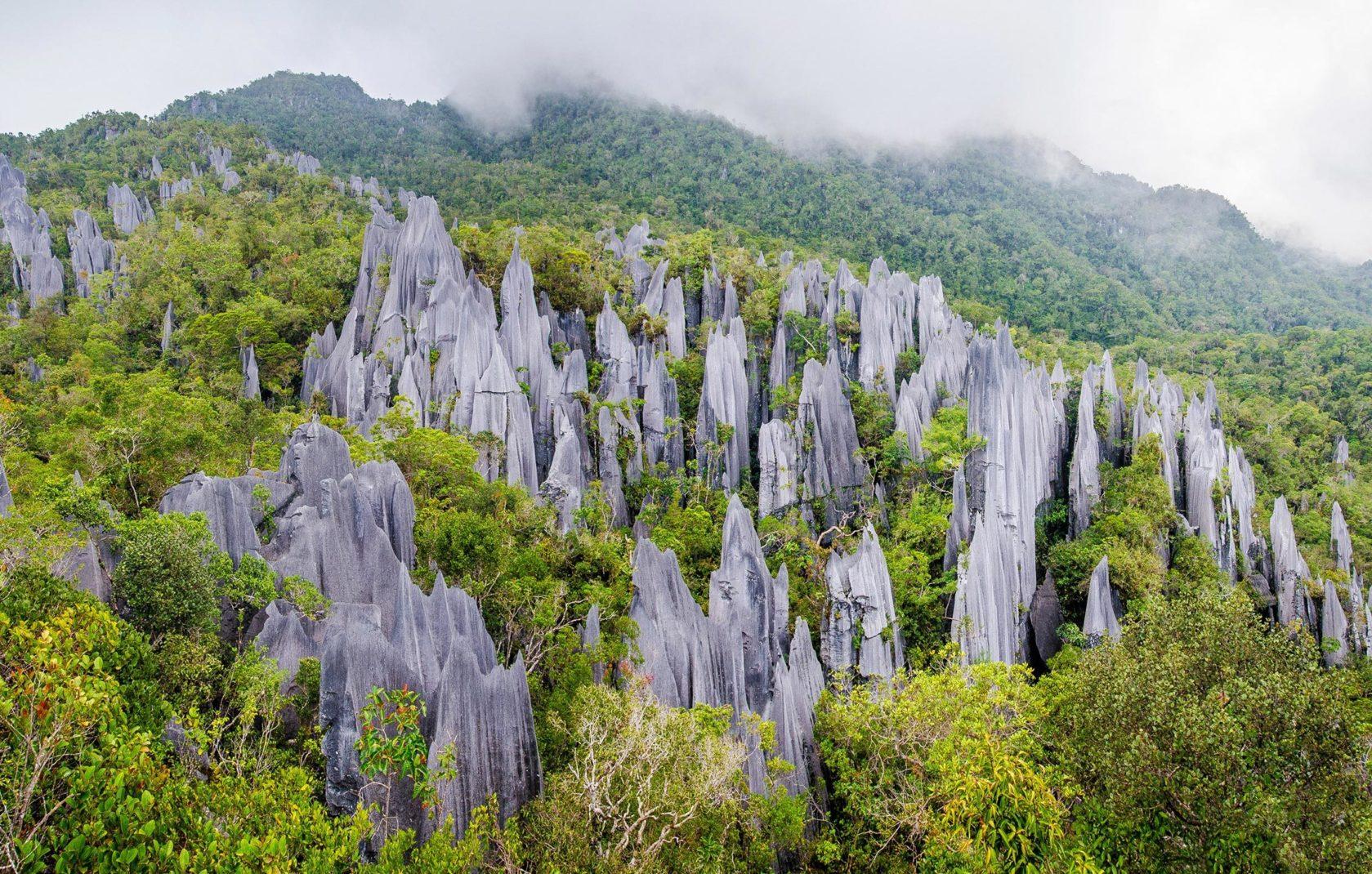 Национальный парк Гунунг-мулу