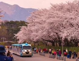 THE BEST TIME TO VISIT SOUTH KOREA